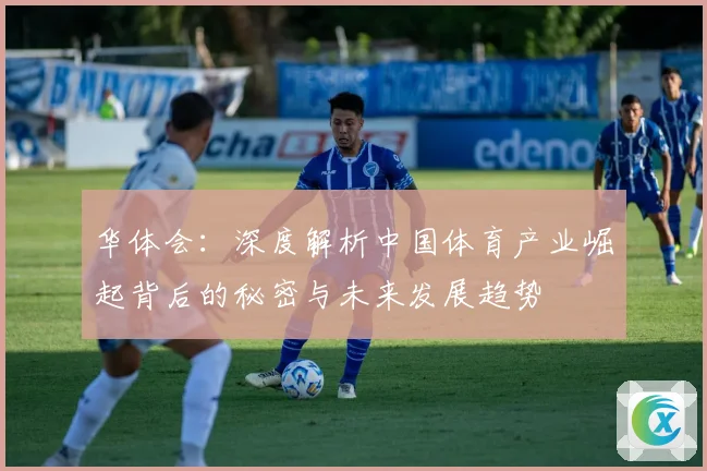 华体会：深度解析中国体育产业崛起背后的秘密与未来发展趋势