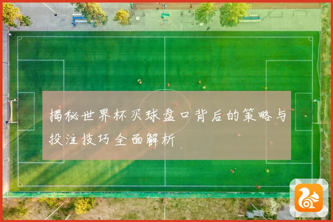 揭秘世界杯买球盘口背后的策略与投注技巧全面解析