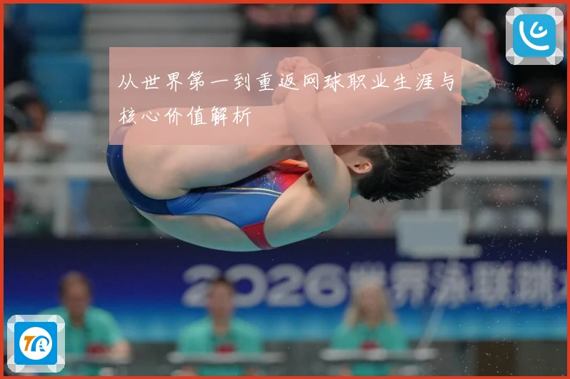 从世界第一到重返网球职业生涯与核心价值解析