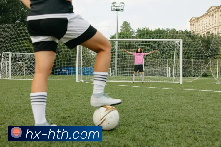 华体会平台展示图