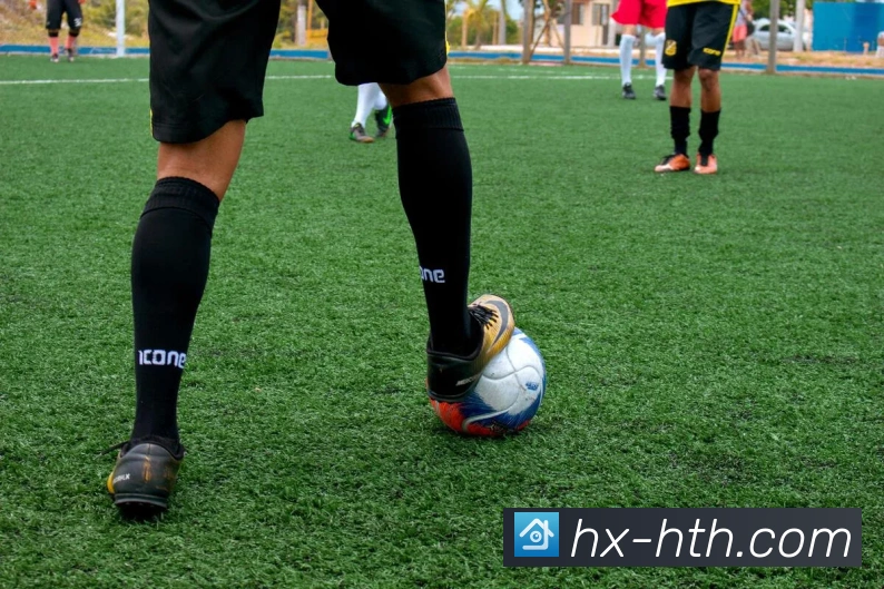 华体会官网全站App